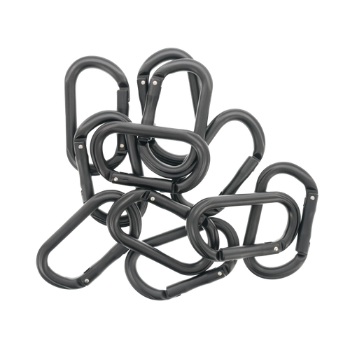 Carabiner (Individual)