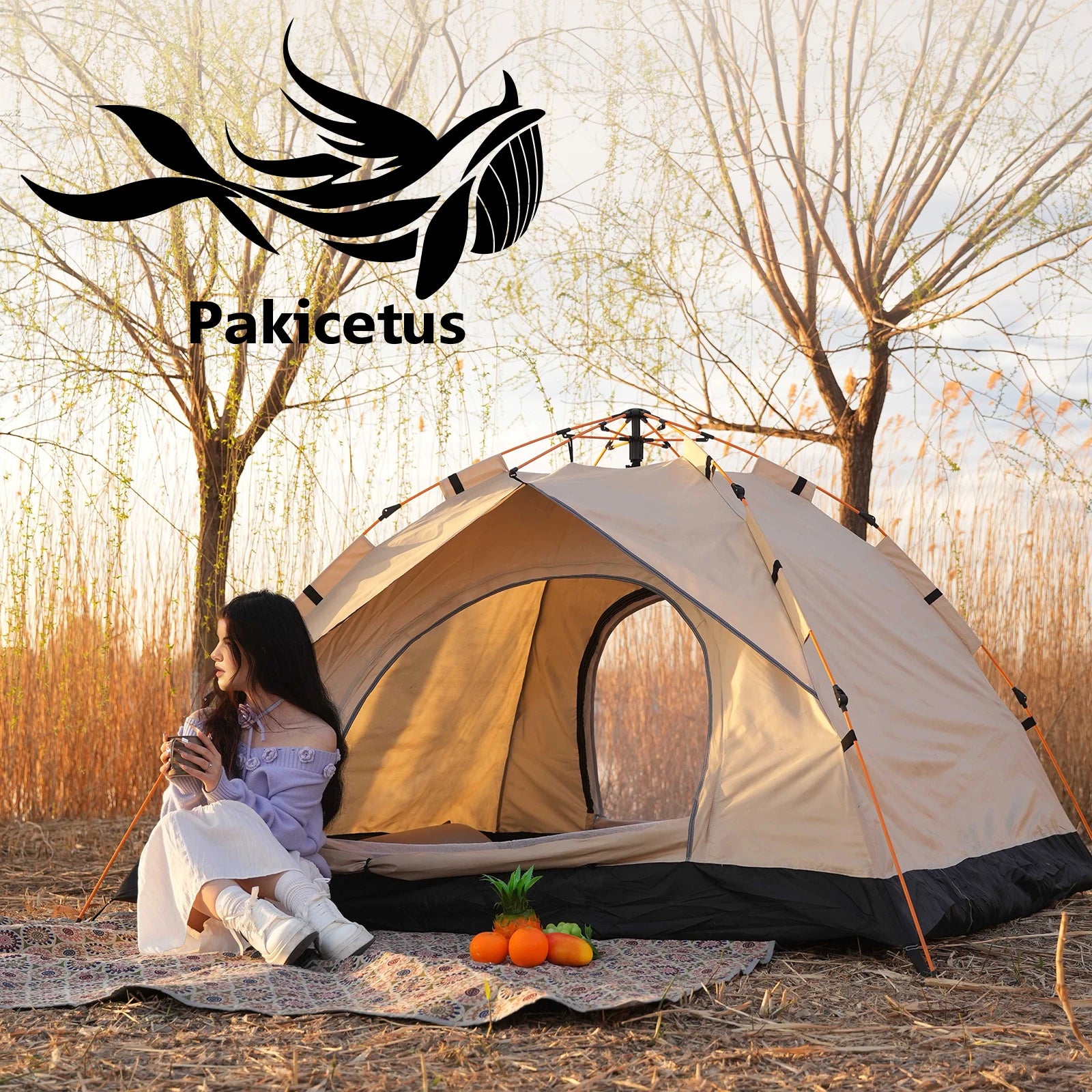 PAKICETUS 2-4 Person Automatic Pop Up Camping Tent, Instant Quick Setup Portable Windproof Tent, Lightweight Backpacking Shelter for Outdoor Travel Hiking Picnic